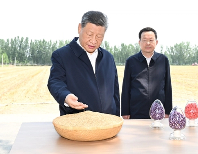 掐脖吻