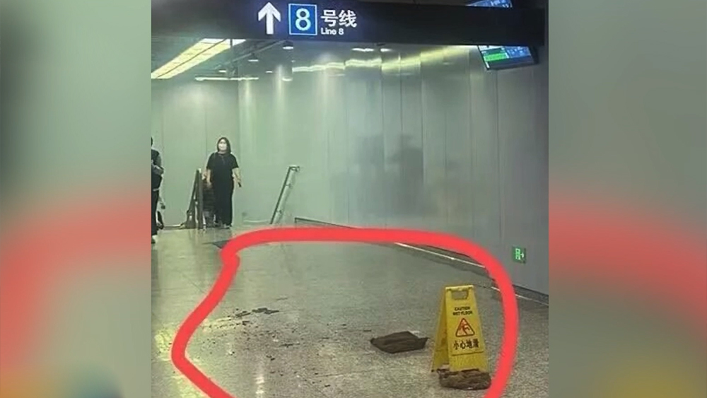 第五人格