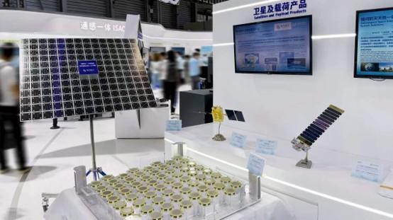 杭州网红柿子树因长太好被质疑
