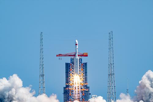 习近平深情寄语小树苗