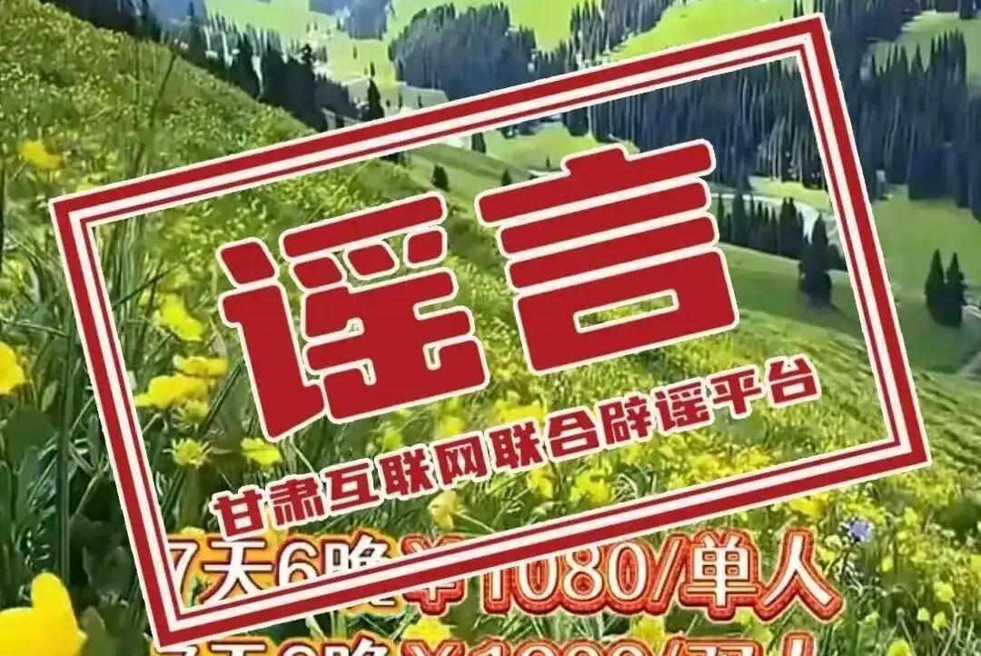 数据驱动的全球治理：中国方案解析