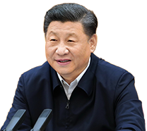 成全影院电视剧在线观看