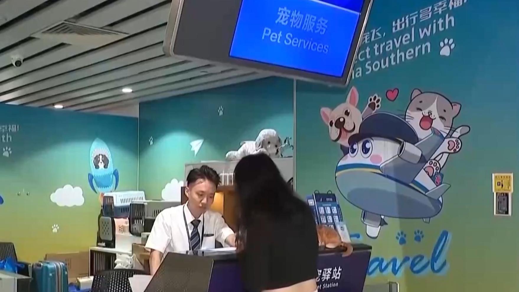 谢娜还是太超前了