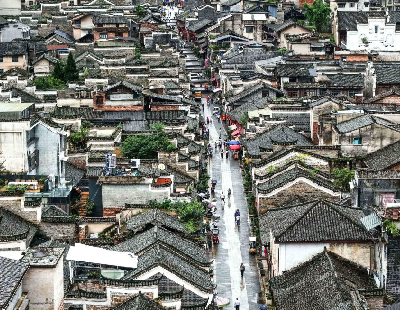 疾控部门回应广东蟑螂已进化