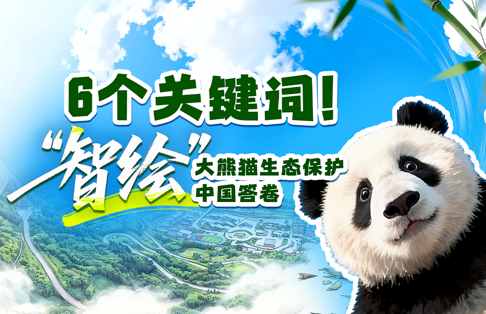 社会主义改造记（伟大征程）